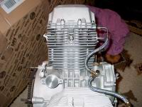 ...distributor removed...